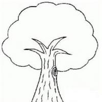 简单的大树简笔画图片