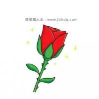 画一朵漂亮的红玫瑰