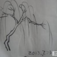 漂亮的柳树简笔画图片