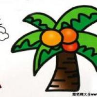 彩色椰子树简笔画