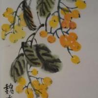 枇杷成熟了