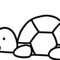 卡通小乌龟怎么画