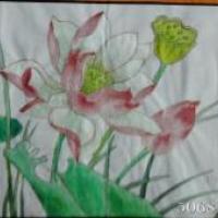 国画荷花作品之清香满面来
