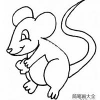 小老鼠偷食简笔画