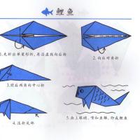 儿童折纸：鲤鱼手工折纸教程步骤图解