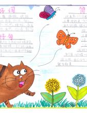 小学三年级语文手抄报字少-图8 小学三年级语文手抄报字少