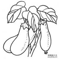 茄子的简笔画