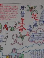 珍爱生命 远离毒品手抄报