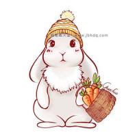 分步学画：提着胡萝卜的小白兔