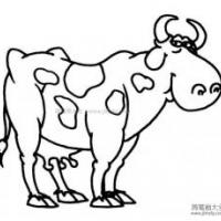 骄傲的奶牛简笔画
