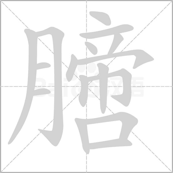 汉字膪的拼音怎么读解释及意思