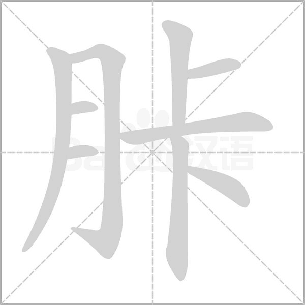 汉字胩的拼音怎么读解释及意思
