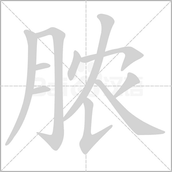 汉字脓的拼音怎么读解释及意思