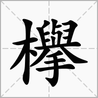 汉字欅的拼音怎么读解释及意思